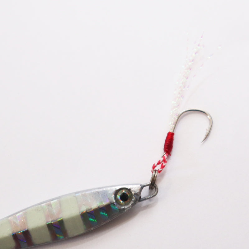 FISHING JIGGING LURE RS-ABBY