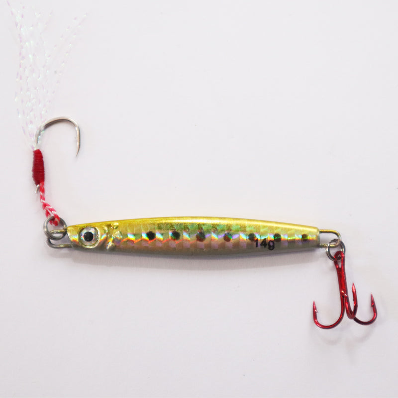 FISHING JIGGING LURE RS-ABBY